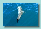 172_Sideways